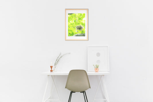 やさしいせかい