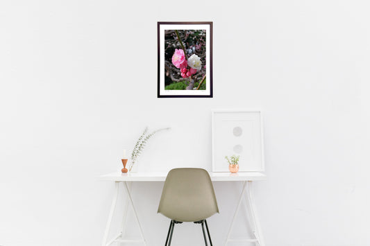 見事な咲き分け