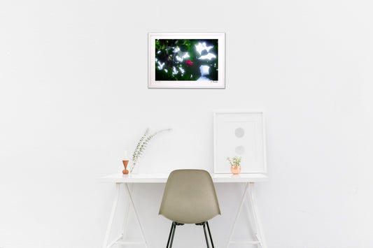 春の光を求めて