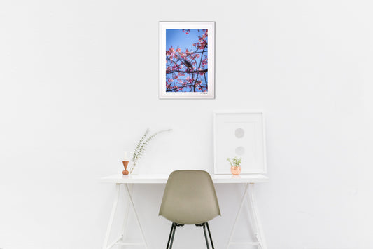 春の息吹きを求めて