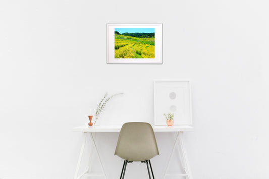 晴れやかな実りの時