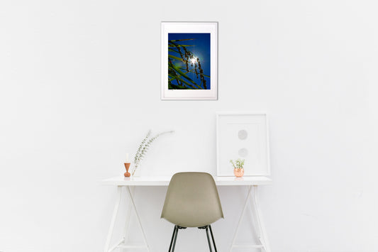 稲のこもれび①