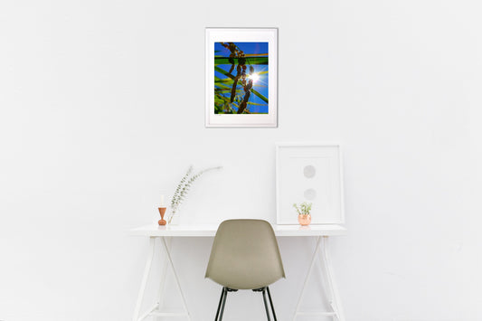 稲のこもれび②