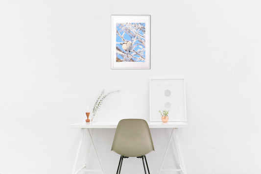 まんまる冬の妖精