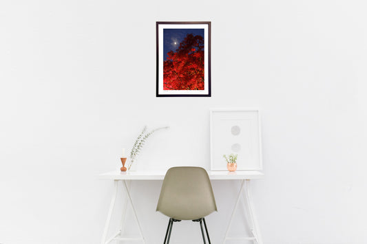 黄昏の紅葉と月