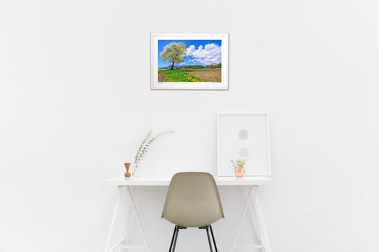 山梨の白い花 咲くころ