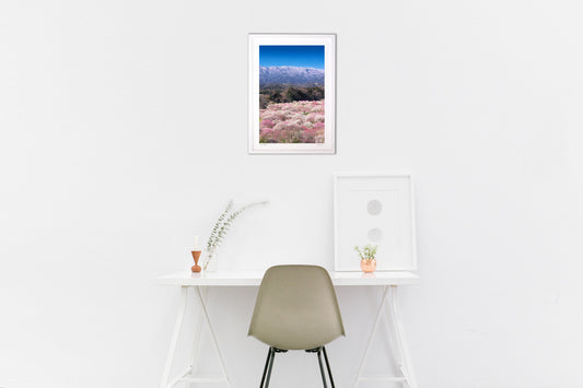 コラボレーション