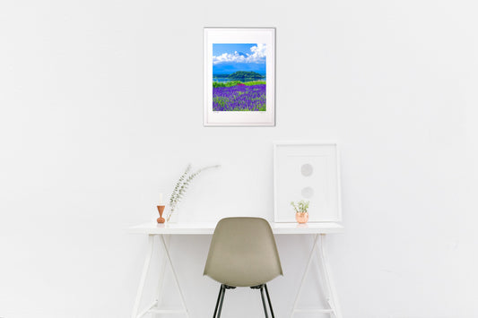 ラベンダーと夏空の富士山