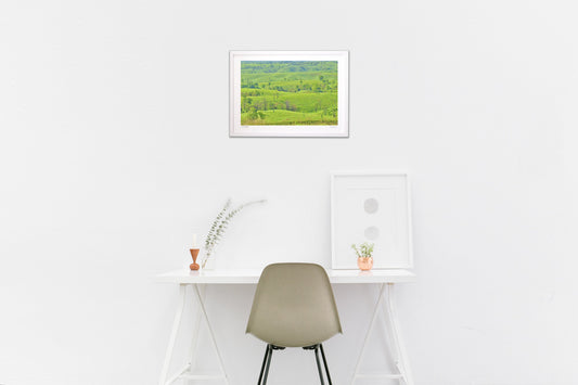 グリーンカーペット