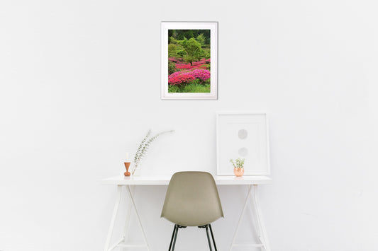 Azalea Hills