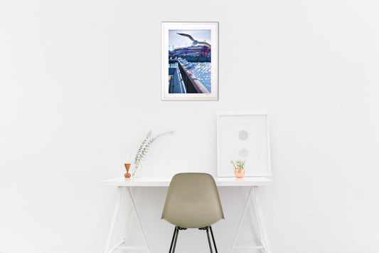 ターミナルのカモメたち