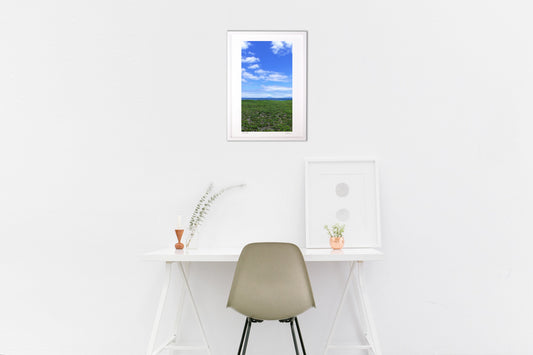 なにげない風景