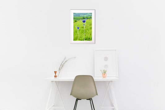 ファイト・オー