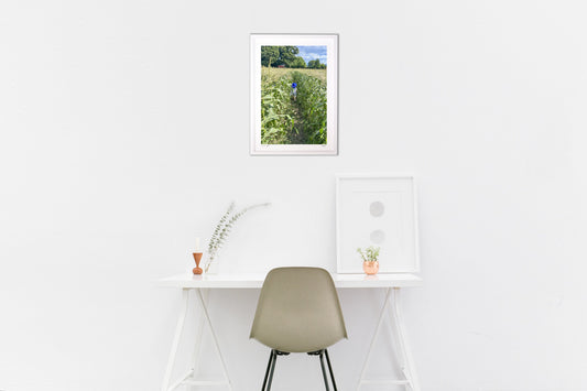 田舎の夏休み:こども