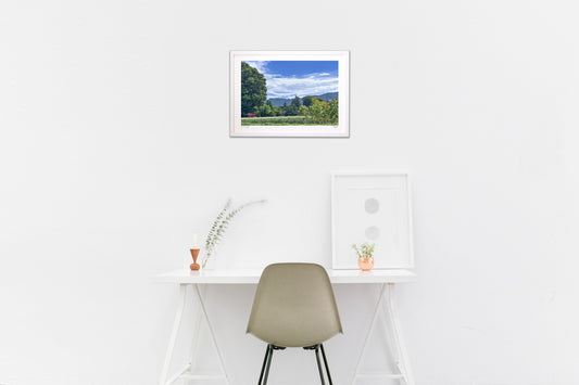 遠い日の夏の記憶