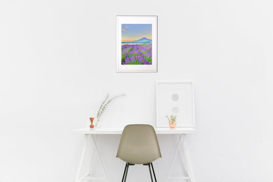 朝焼けの富士山とラベンダー畑