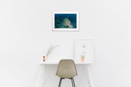 自然のデザイン:1