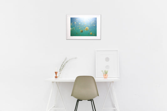 ふわふわの世界