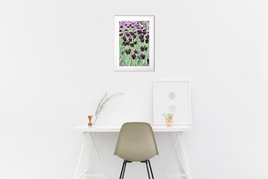 黒いチューリップ