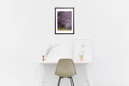 春爛漫!目の前を彩る桜並木