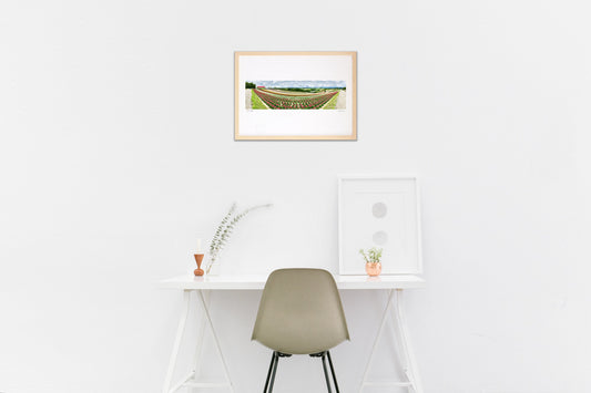 パノラマ四季彩の丘