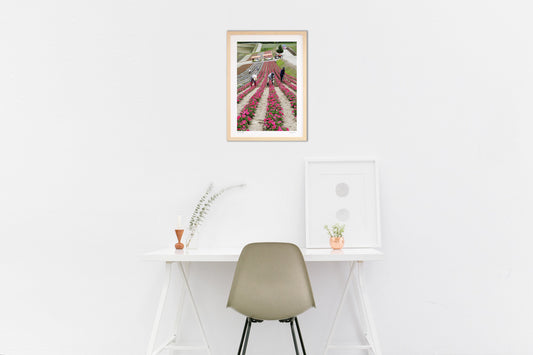 四季彩の丘・花普請