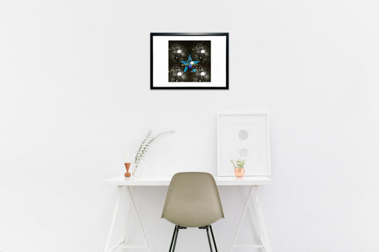 白と黒、時々カメレオン