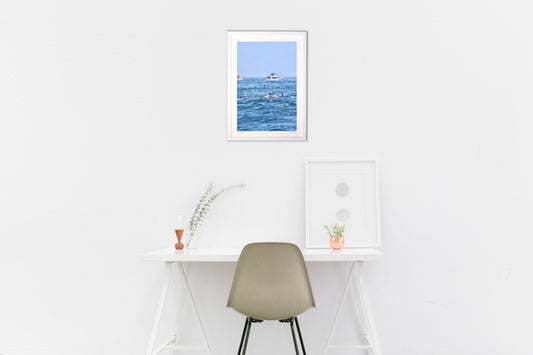 イルカウォッチング