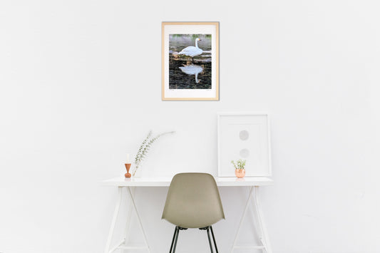 白いリフレクション