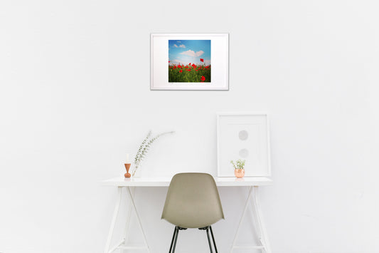 可愛い赤色とワンちゃん