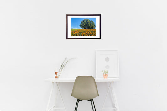 マリーゴールドと大きな木