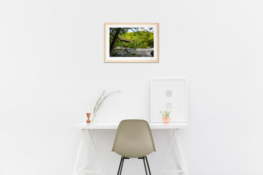 蔦川と出合い橋