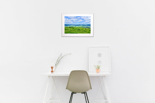 grassland