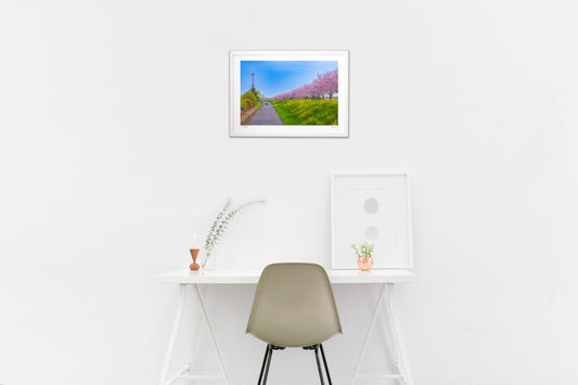 春爛漫!桜並木のある風景