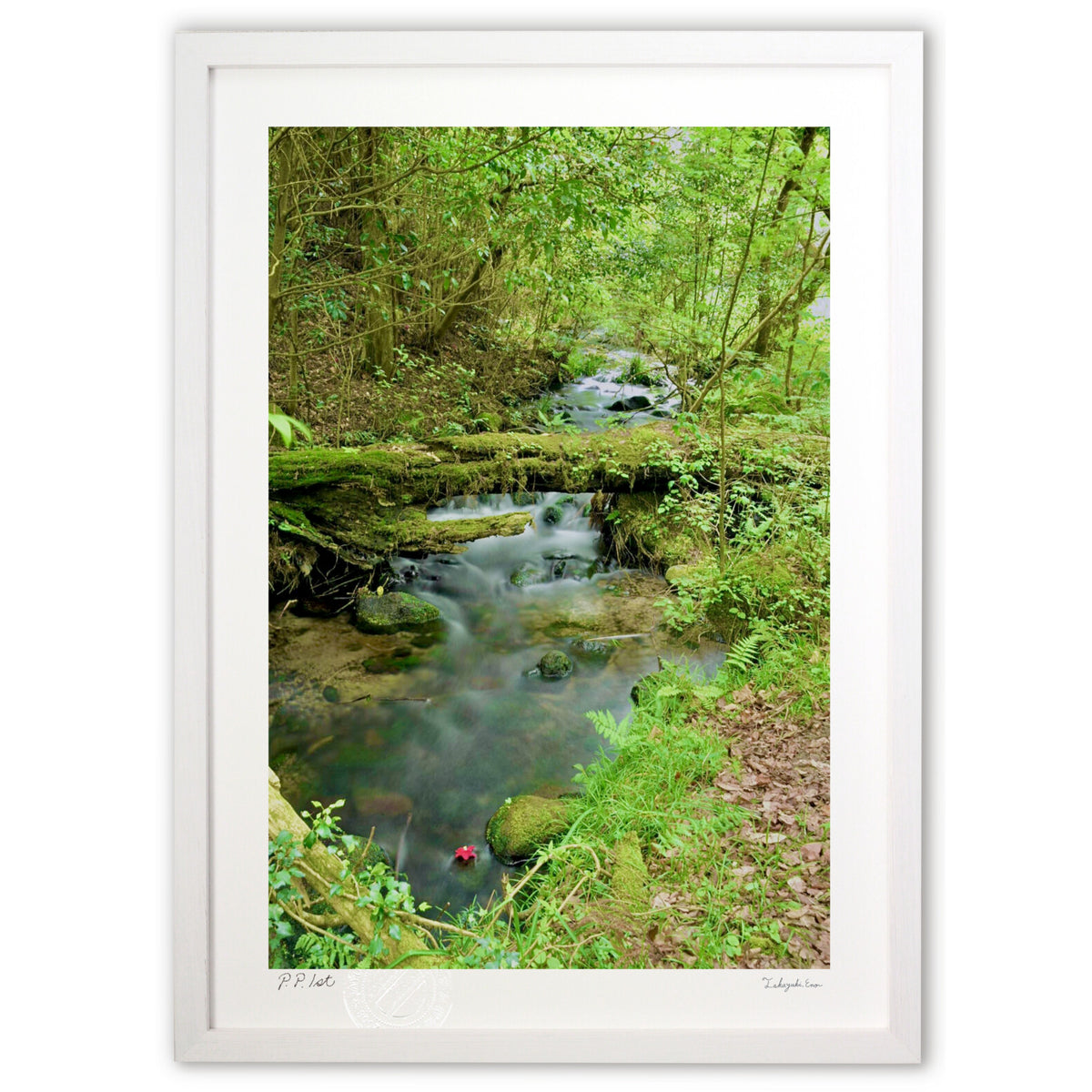 Spring Stream