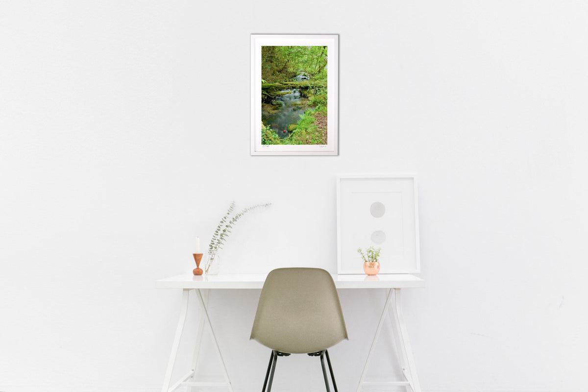 Spring Stream
