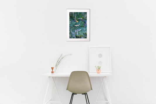 九州のモネの池