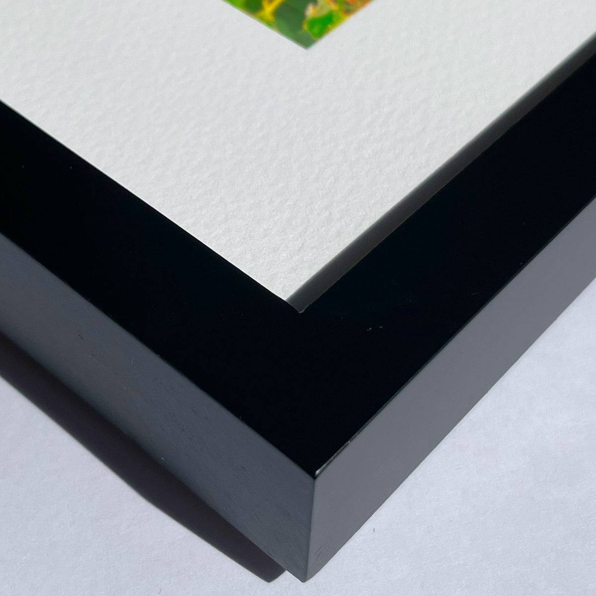 Ground Cherry Market