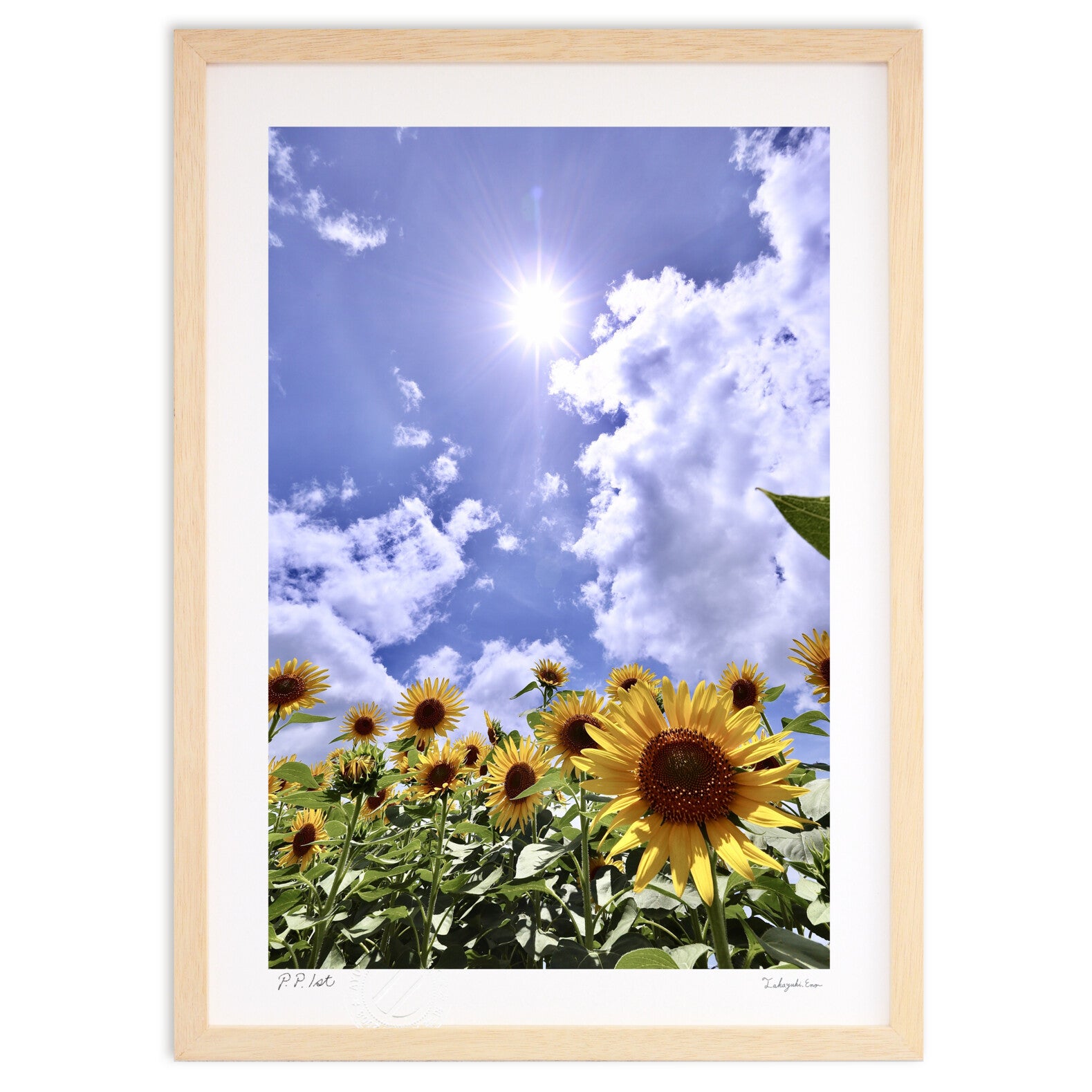 夏華 – 絵画や壁飾り販売｜風景投稿販売あゆわら(R)