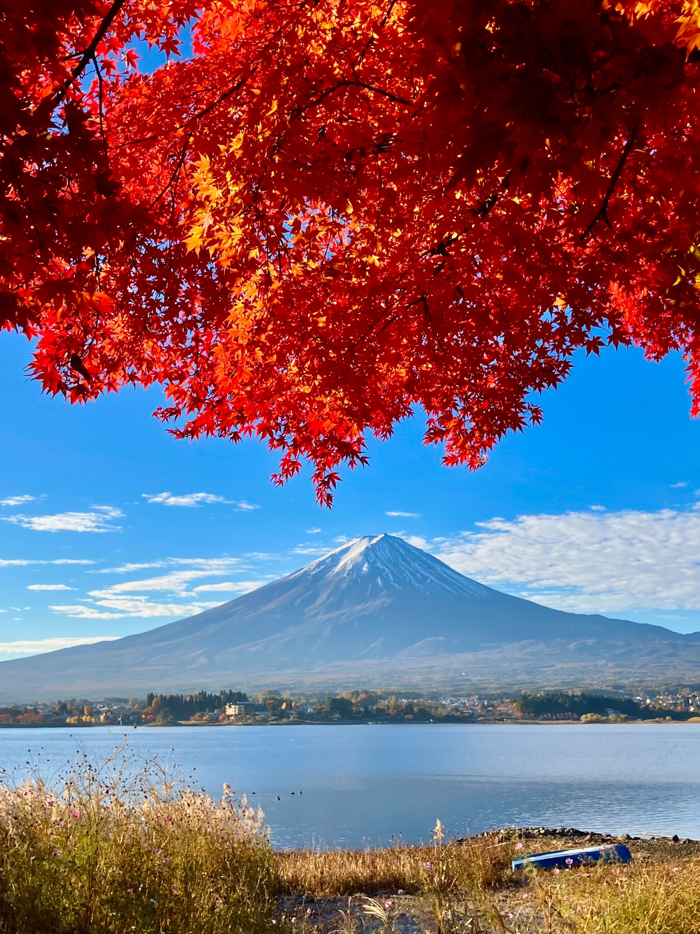 紅葉絶景と富士山 – 絵画や壁飾り販売｜風景投稿販売あゆわら(R)