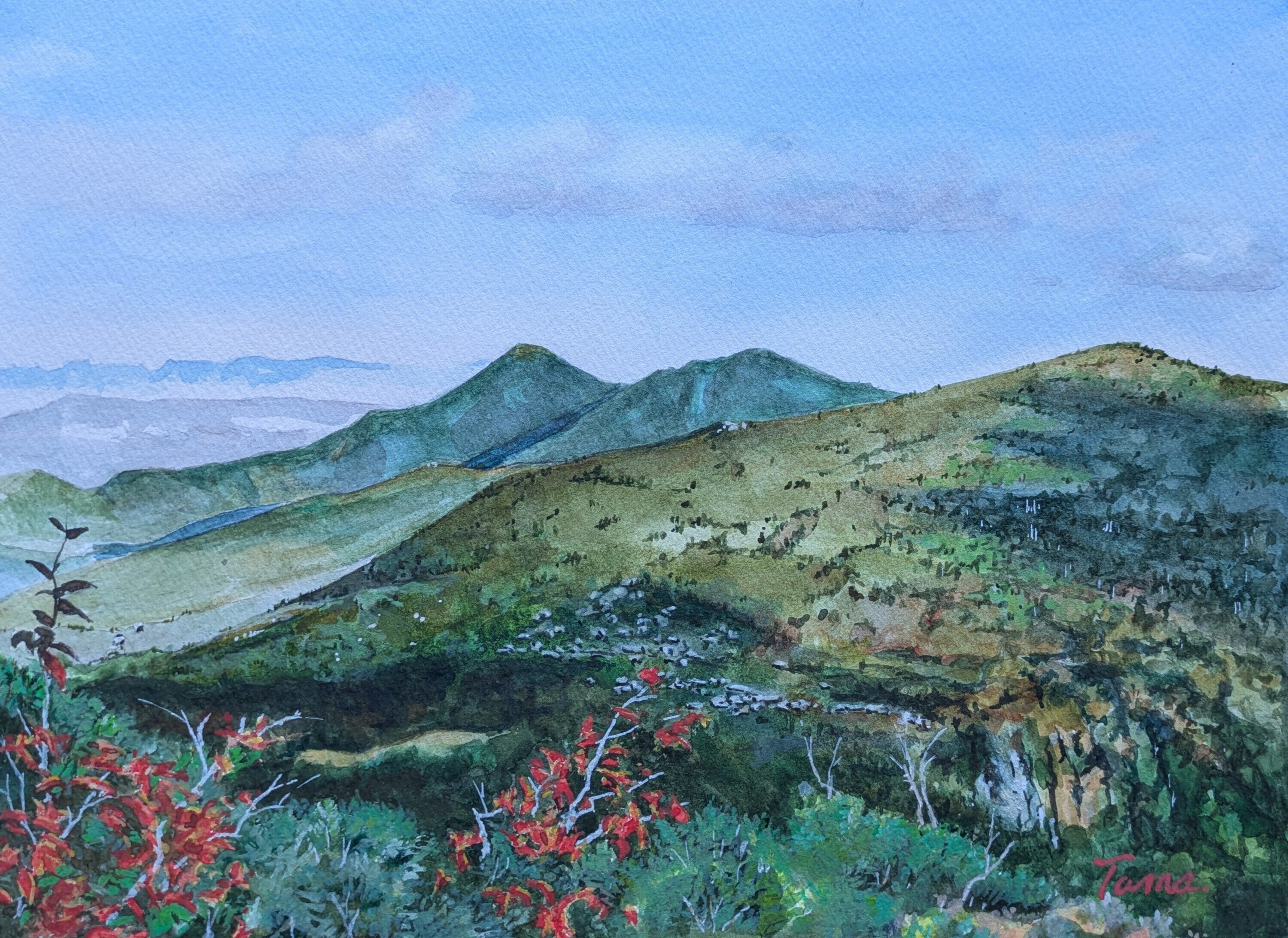 北八ヶ岳 秋 – 絵画や壁飾り販売｜風景投稿販売あゆわら(R)