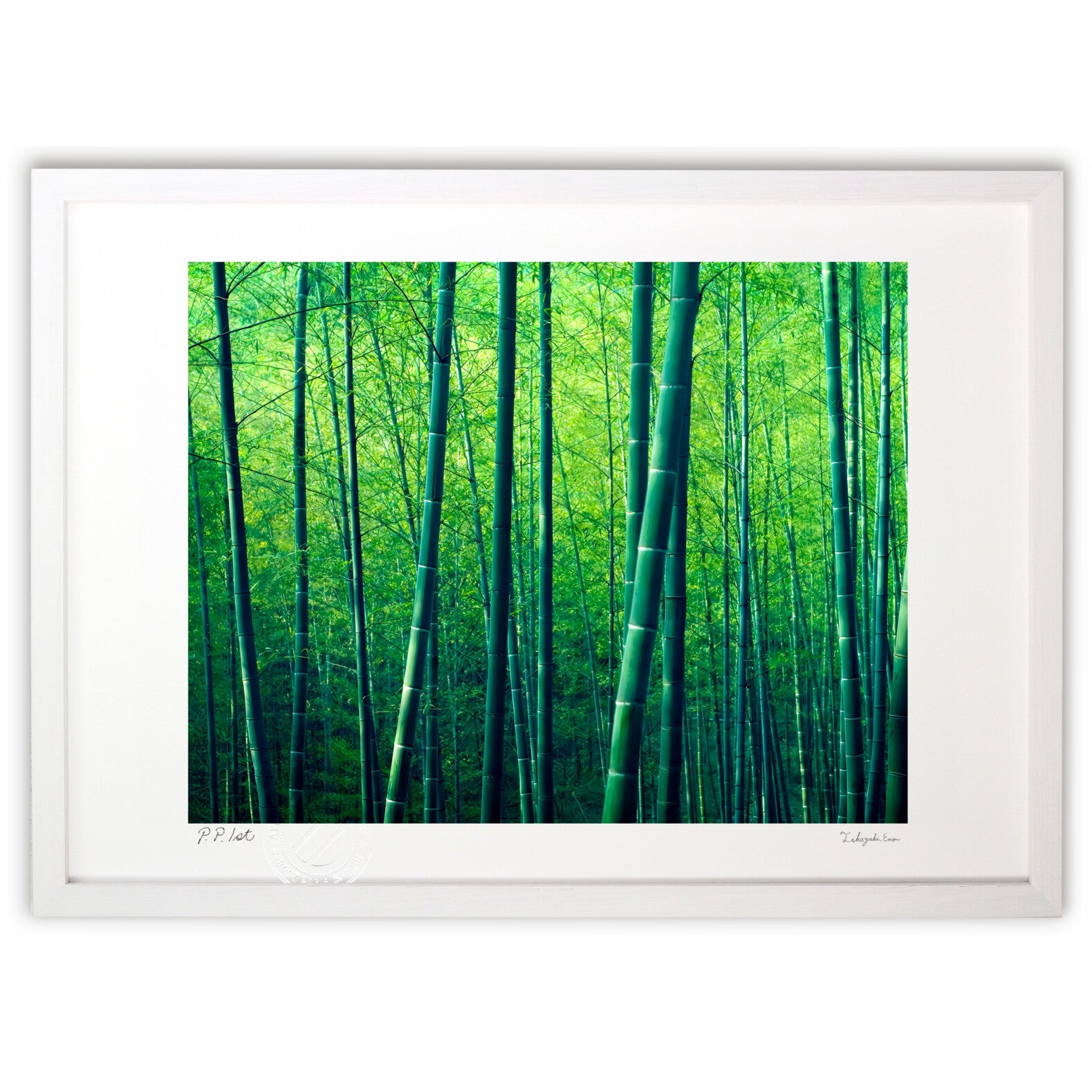 静寂の竹林、光の誘い – 絵画や壁飾り販売|風景投稿販売あゆわら(R)