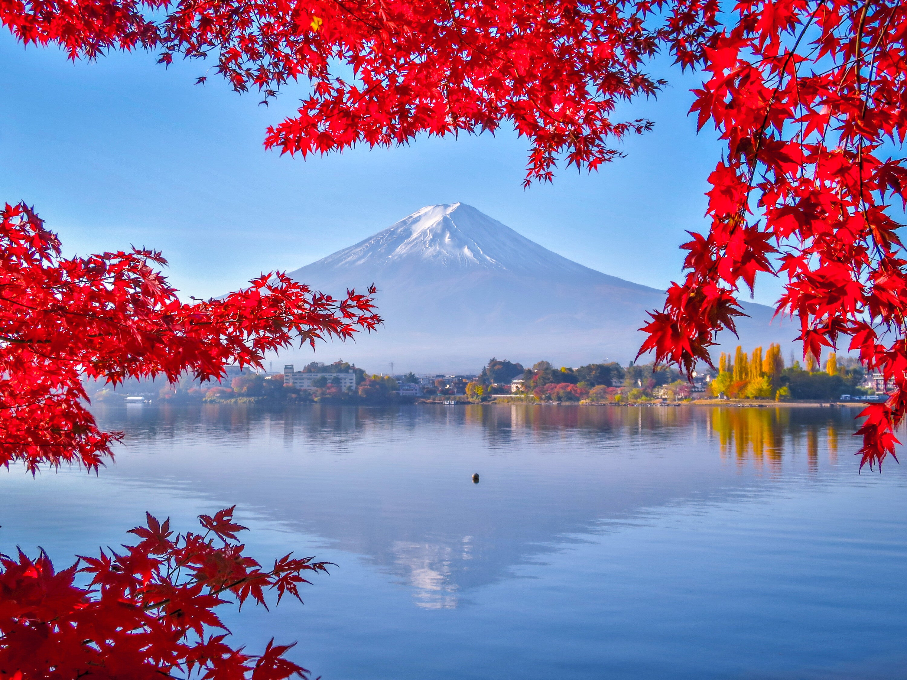 SALE37%OFF 逆さ富士～桃空紫富士～美しい日本の風景 金運 邪気払い ...