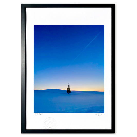 マジックアワーのクリスマスツリー