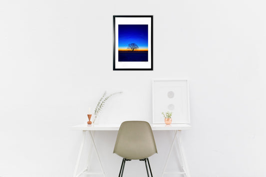 夜明けのハルニレの木