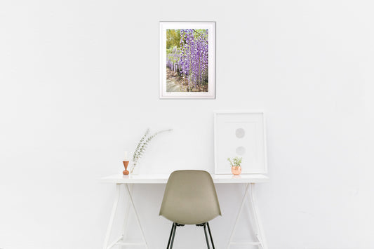 名もなき藤の花