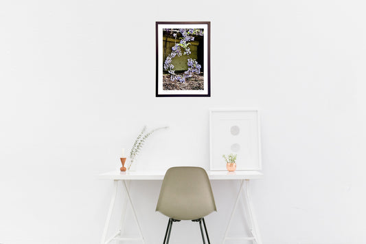 古シャッターと円形の藤