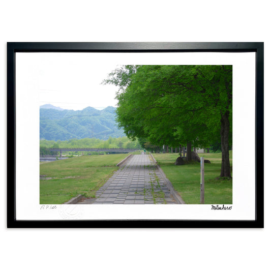 薄日の中の散歩道