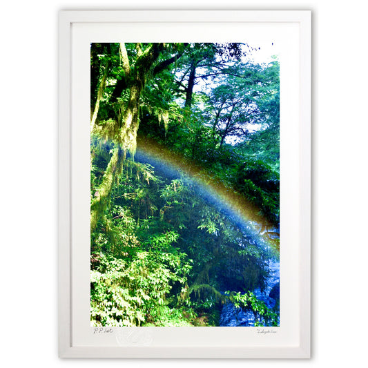 プチットレインボー