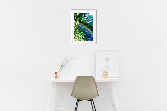 プチットレインボー